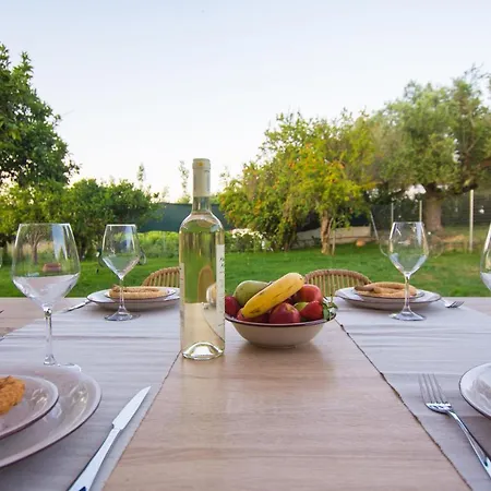 Drallos Luxury House Holiday home *